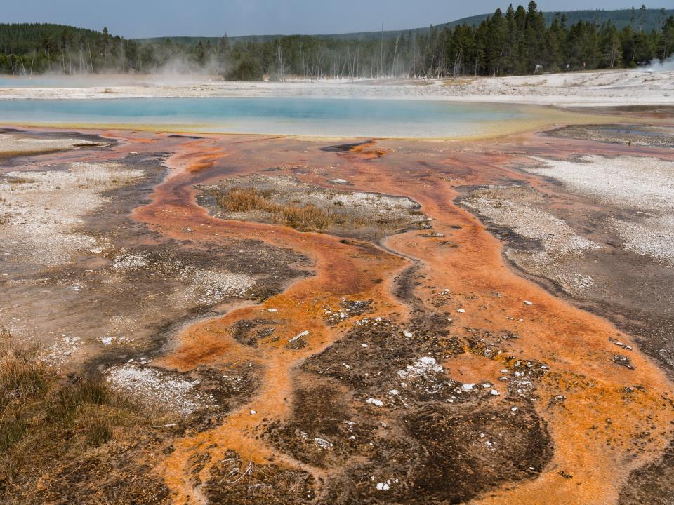 Hot water with a mat of colorful thermophilic bacteria drains from the Rainbow Pool as steam rises in the Black Sand Basin of Yellowstone National Park, Wyoming, USA.
