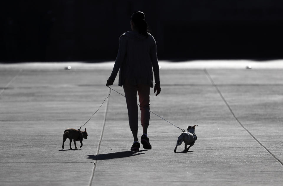 A woman walks her dogs in Mexico City's main square the Zocalo, during the International Women's Day strike "A day without women," Monday, March 9, 2020. Thousands of women across Mexico went on strike after an unprecedented number of girls and women took to the streets to protest against unbridled gender violence on International Women's Day. (AP Photo / Marco Ugarte)