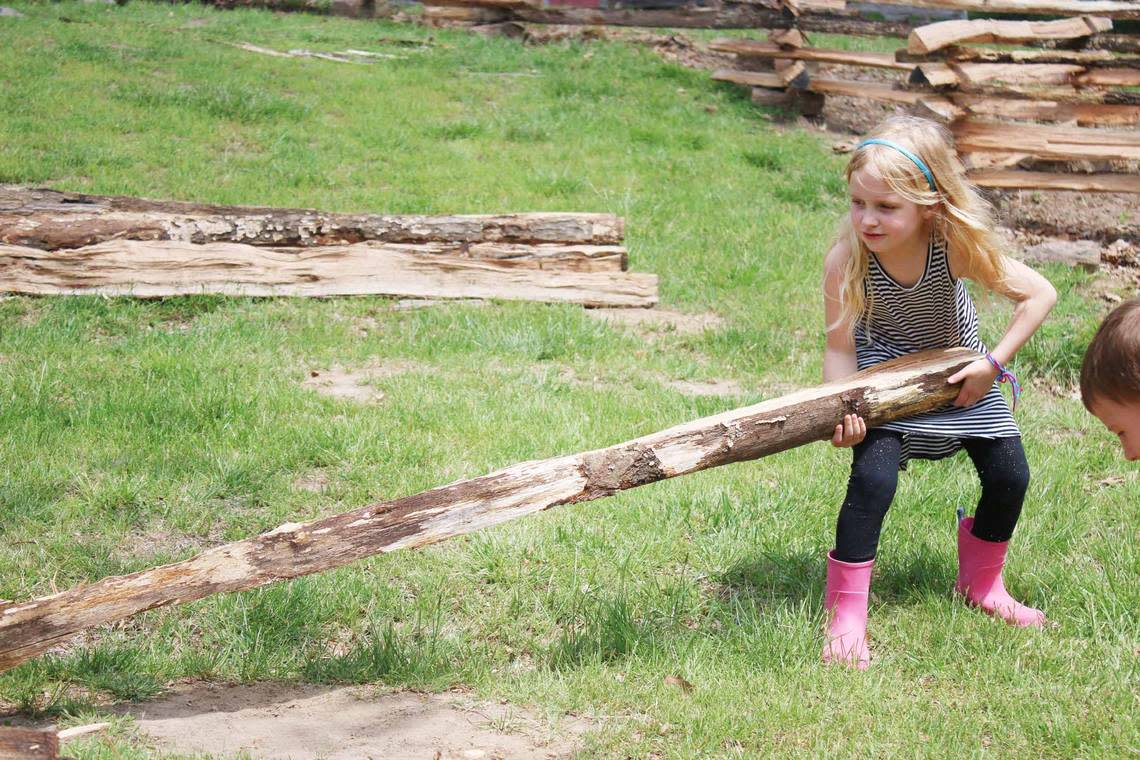 Six-year-old Pippa Coon, of Overland Park, helps move a large piece of wood to mend the fence at Missouri Town 1855. All the activities of sheep shearing day had some connection with chores relating to sheep. Beth Lipoff/Special to the Journal