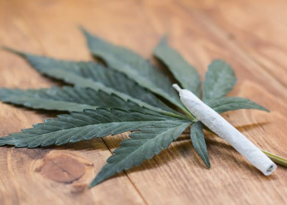 A rolled cannabis joint atop a cannabis leaf.