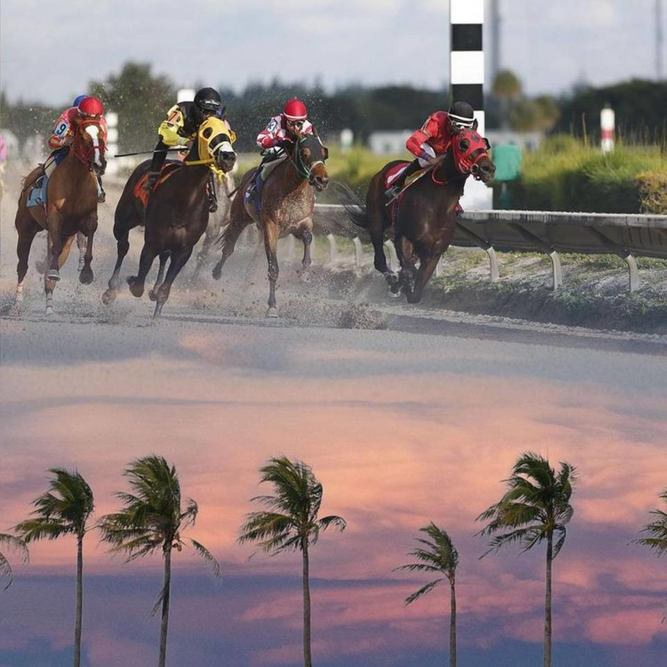 La carrera de caballos de un millón de dólares ($3 millones, para ser exactos) regresó este mes a Gulfstream Park.