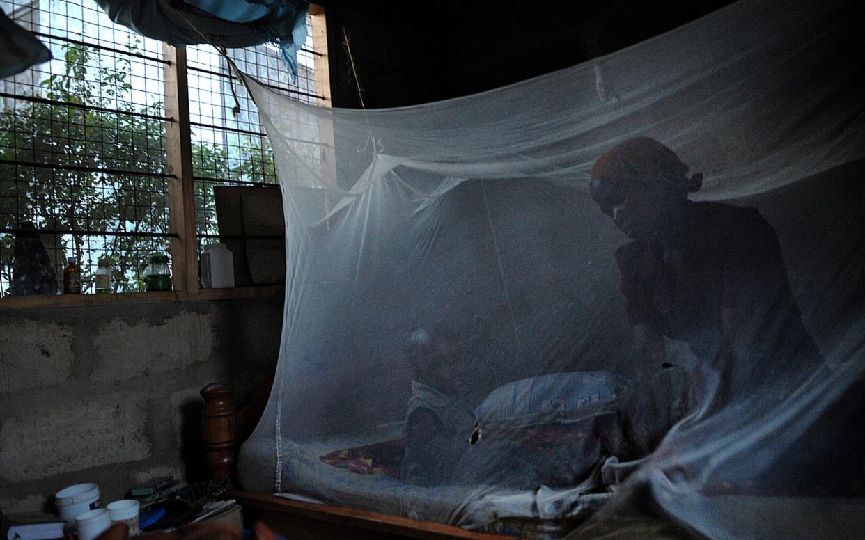 Bed nets, pictured here in Tanzania, work but to really make progress against malaria, a vaccine is priority number one, said the WHO's Dr Pedro Alonso - Tony Karumba/AFP