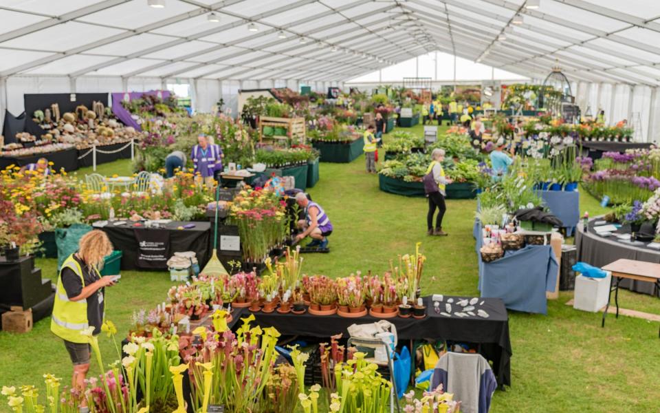 RHS Flower Show Tatton Park, Cheshire - Tim Sandall / RHS 