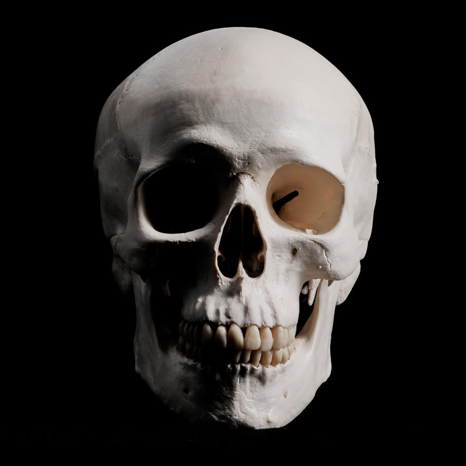 Close-up of a human skull against a dark background
