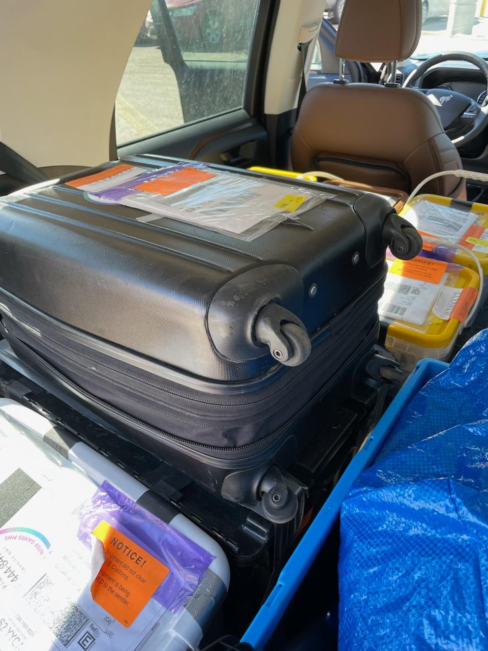 Janet Pacey's pin collection sits in the back of her car. 