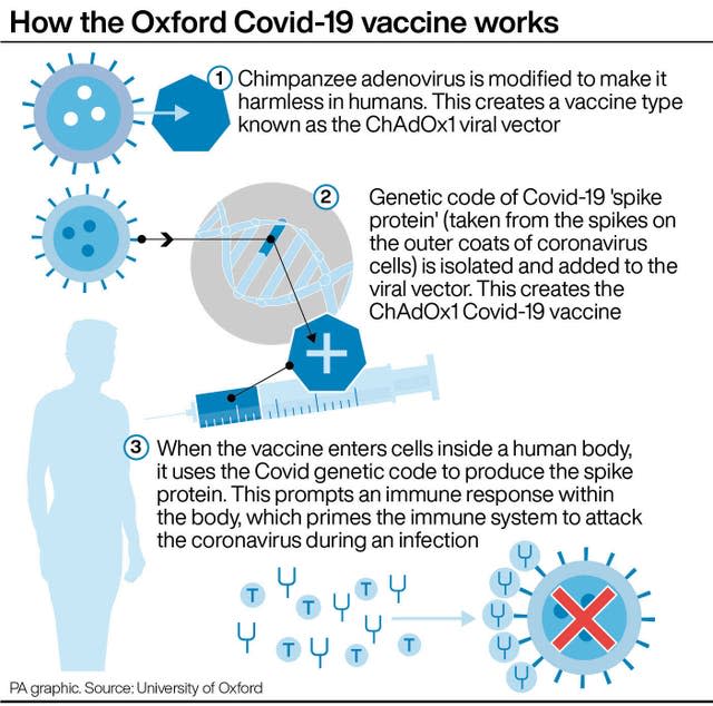 HEALTH Coronavirus