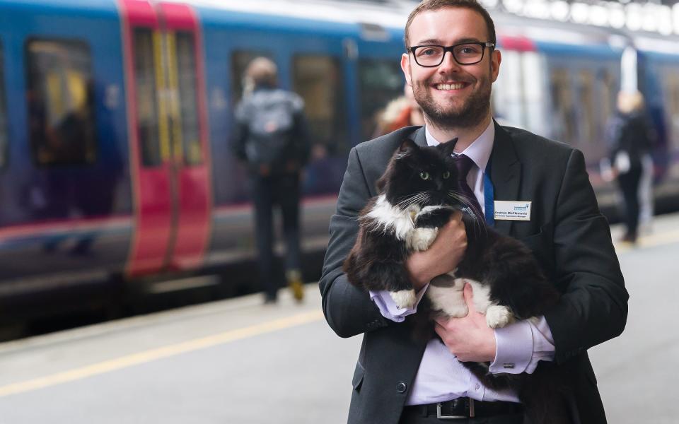 Meet Felix, the Huddersfield station cat with 100,000 followers and a book deal