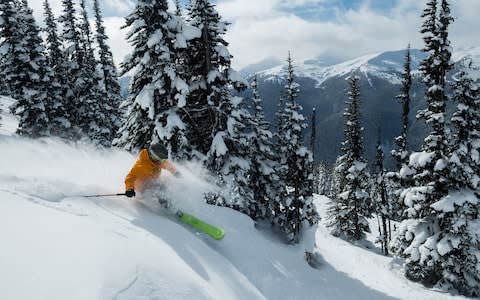 Powder skiing - Credit: Mike Crane