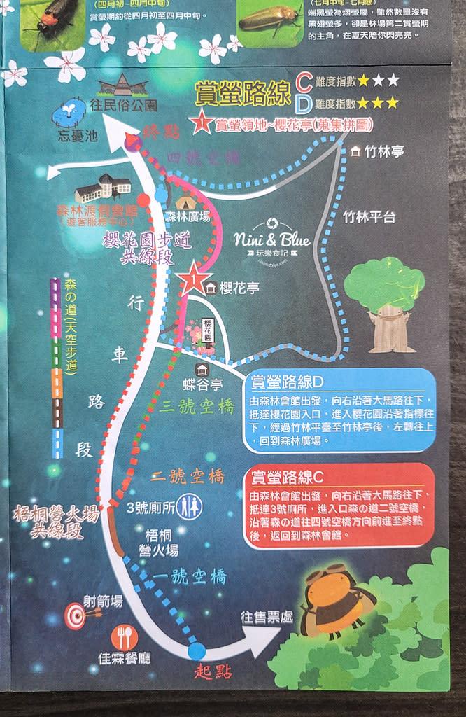 台中｜東勢林場遊樂區 螢火蟲季