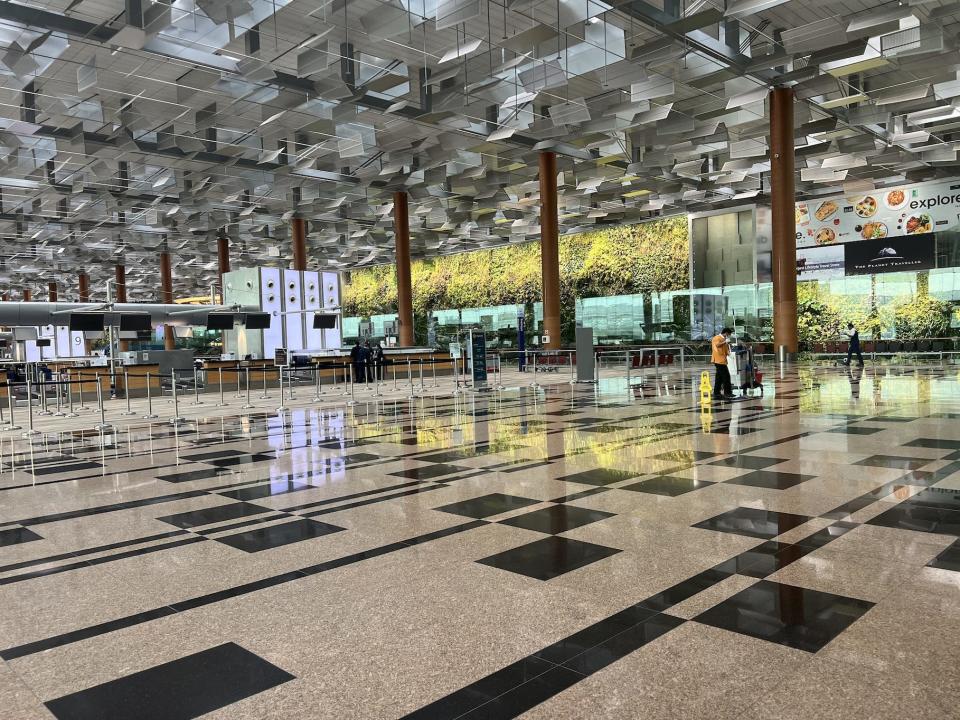 Greenery lining the walls in Changi's Terminal 3 check-in lobby.