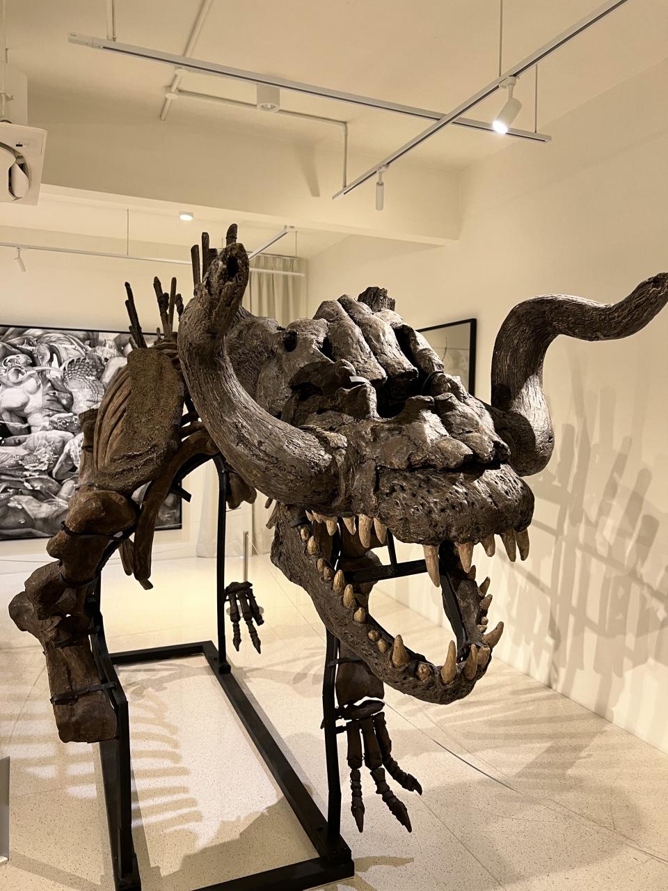 The mythical beast named Makara by artist Tan Zi Hao can be found at Ur-Mu gallery.