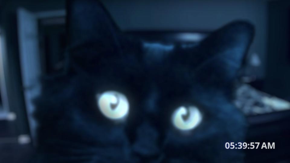 A Cat Haunts Its Owners in Funny PARANORMAL ACTIVITY Parody_1