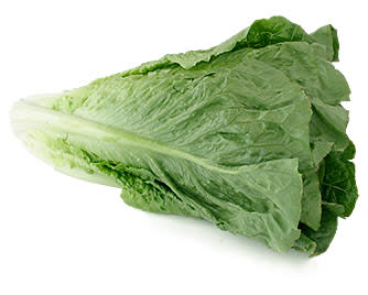 Romaine Lettuce