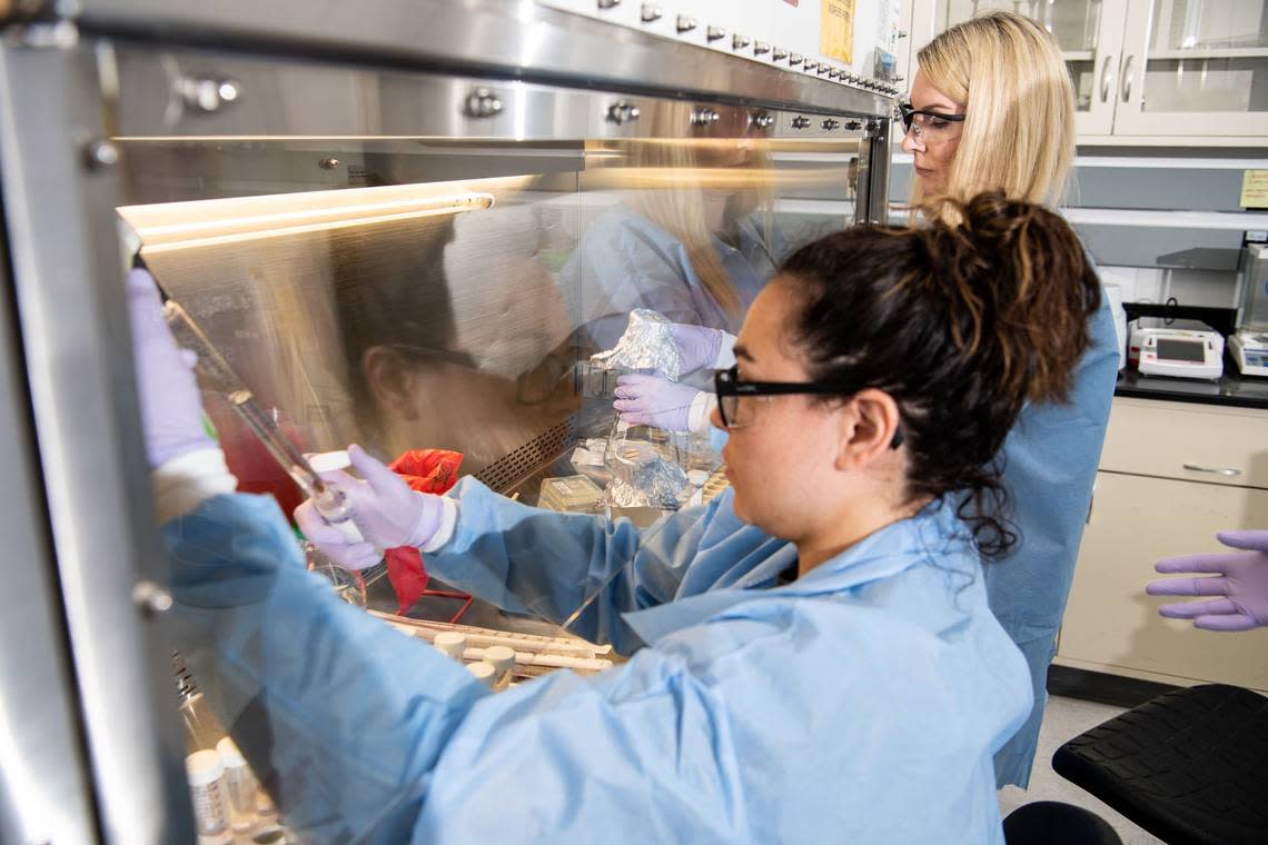 PNNL researchers prepare soils as part of a NASA-funded experiment called DynaMoS, or Dynamics of Microbiomes in Space.