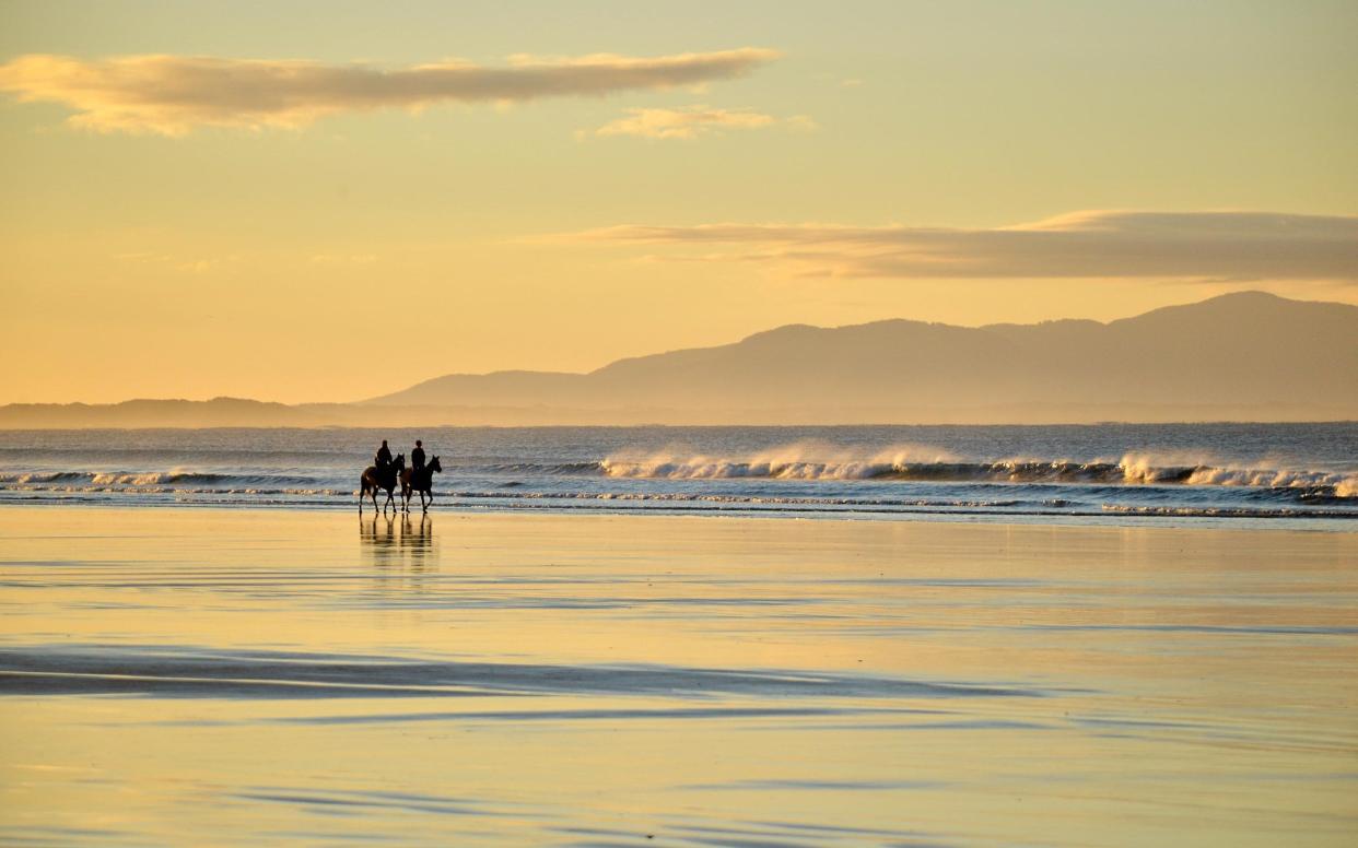 horses on beach - Getty