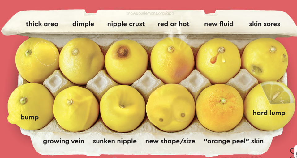   Know Your Lemons / Via knowyourlemons.org