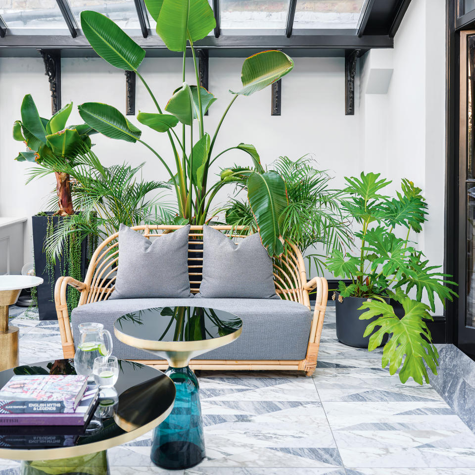 Modern conservatory with graphic floor tiles, rattan sofa, glass coffee tables and large houseplants