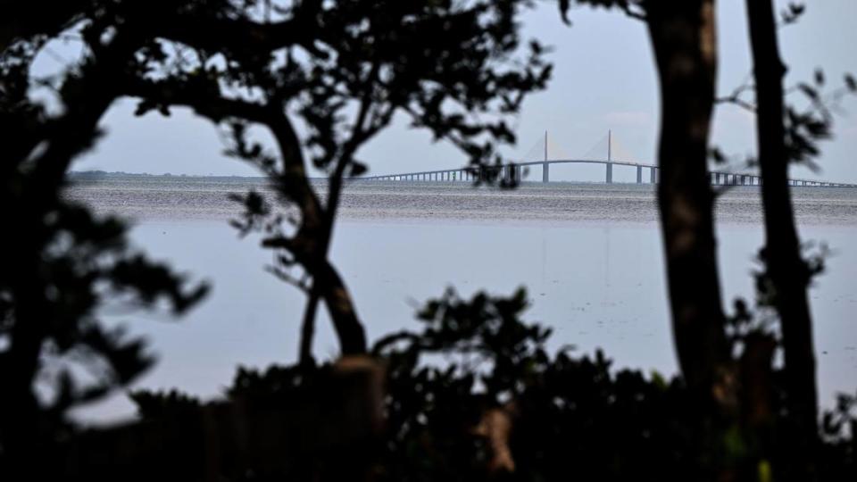 The Environmental Lands Management and Acquisition Committee has recommended that Manatee County Government purchase 98 acres next door to Emerson Point Preserve in Palmetto. The Sunshine Skyway Bridge is visible through the trees at the preserve.