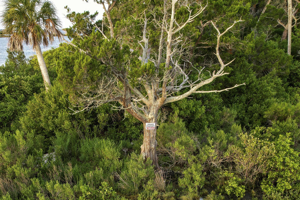 A "Private Property" sign is posted on a tree on Sweetheart Island, off the coast of Yankeetown, Fla., on Aug. 5, 2023. As part of his January 2023 plea deal, Patrick Parker Walsh agreed to return the $7.8 million of federal COVID-19 relief funds and to sell the island, which was among his first purchases with the stolen federal money, according to court records. (AP Photo/Julio Aguilar)