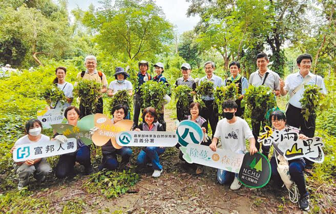 9月第一個周六是「小花蔓澤蘭全國防治日」，林業保育署嘉義分署2日在中興大學新化林場號召志工一起移除小花蔓澤蘭。（曹婷婷攝）