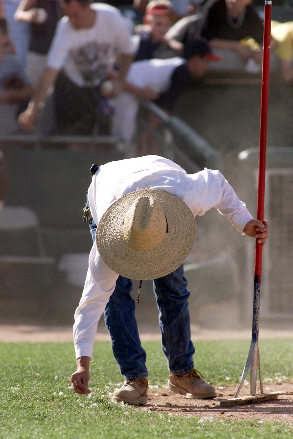 A groundskeeper at Tucson Electric Park picks up feathers left on the grass behind home plate  following an exhibition game between the Arizona Diamondbacks and the San Francisco Giants, Saturday, March 24, 2001 in Tucson, Ariz. A pitch thrown by Diamondbacks ace Randy Johnson killed a bird in a flurry of feathers in the seventh inning when the bird flew into the path of the pitch. The Diamondbacks beat the Giants 10-6 in exhibition play. (AP Photo/Ted S. Warren)