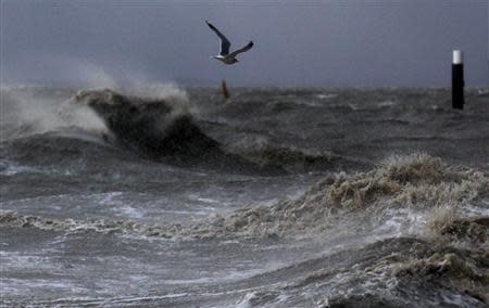 A seagull flies over the North Sea near the town of Emden, December 6, 2013. REUTERS/Ina Fassbender