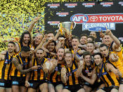 <p>Hawthorn celebrate back-to-back AFL premierships.</p>