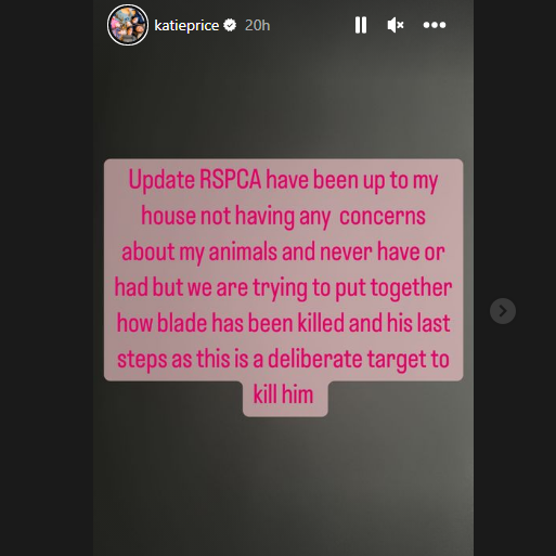 Katie Price said she's trying to 'put together' what happened. (Katie Price Instagram Story)