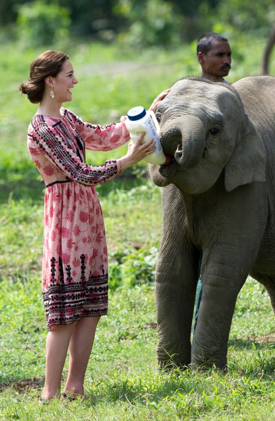 kate middleton feeding baby elephant