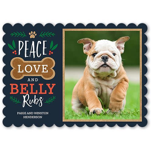 Belly Rubs Christmas Card (75 cards)