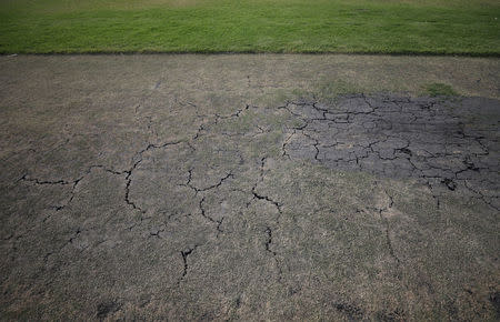 A dried out wicket is seen at a cricket pitch in Cape Town, South Africa, February 11, 2018. Without water, the wickets are considered dangerous to players. All club and school cricket matches has been cancelled as the city attempts to avert a major water crisis. REUTERS/Mike Hutchings