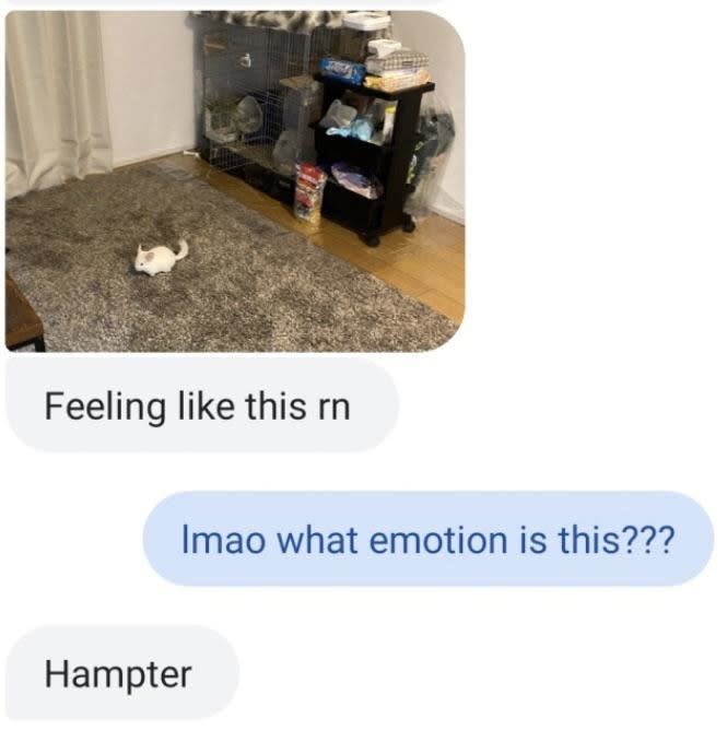 Person spelling "hamster" as hampter