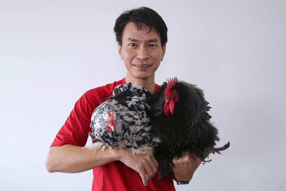 Eric Woo, an ornamental chicken enthusiast