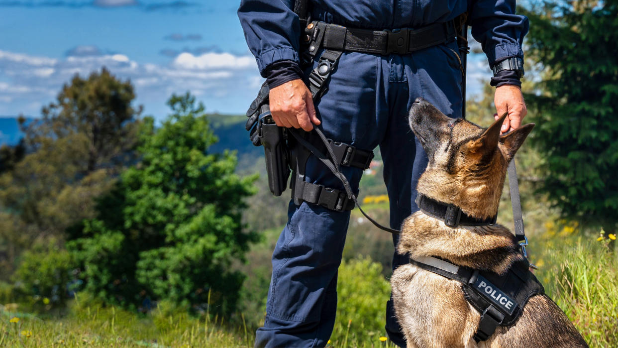  Police officer with his German Shepherd. 