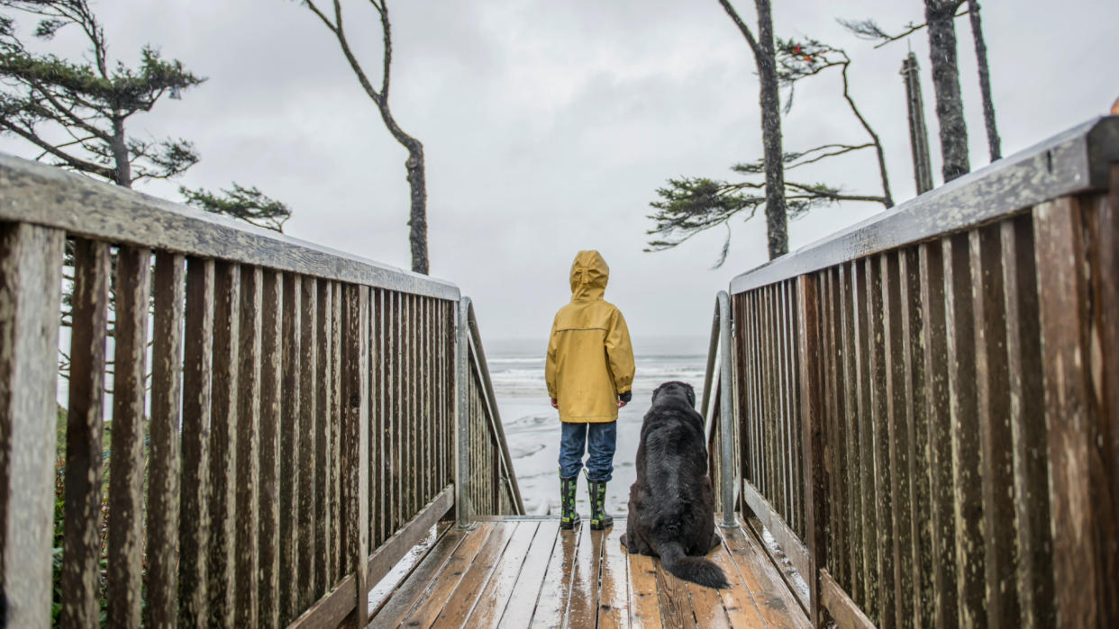  Child and dog standing outside in the wind/rain together. 