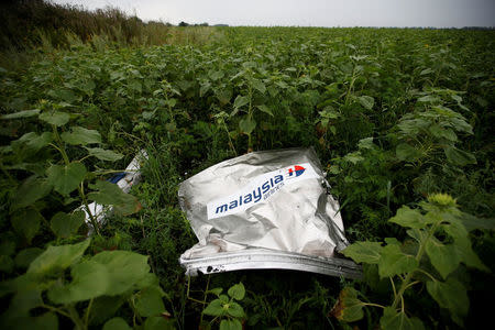 FILE PHOTO: Debris from the Malaysia Airlines Boeing 777 which crashed over Ukraine lies on the ground near the village of Rozsypne in the Donetsk region, Ukraine, July 18, 2014. REUTERS/Maxim Zmeyev/File Photo