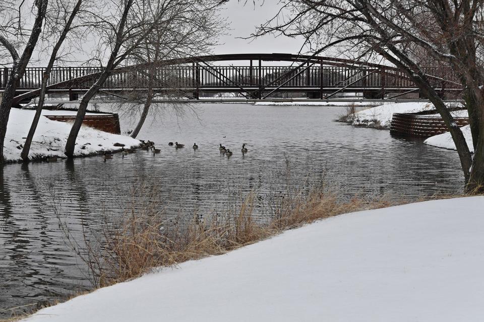 Ducks and geese paddle under a bridge at Sikes Lake in February 2020.