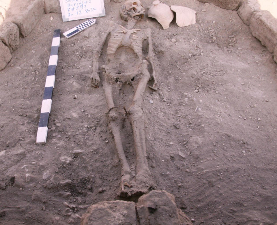 Image: A skeletal human remain is seen in Luxor (Zahi Hawass Center for Egyptology / via Reuters)