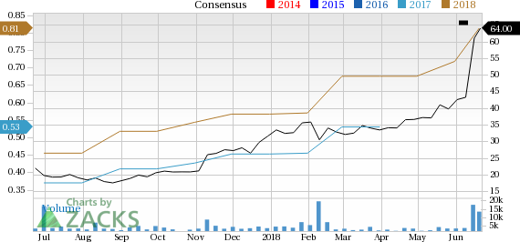 Goose Holdings (GOOS) is seeing solid earnings estimate revision and has a favorable Zacks rank, making it well positioned for future earnings growth.