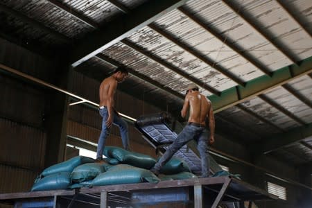 Labourers work at a coffee warehouse of coffee company of Simexco Dak Lak Limited in the town of Di An