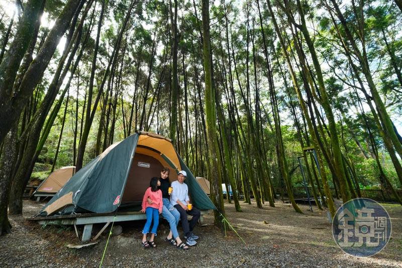 「覓境露營」在營地中刻意保留一片梢楠、樟樹和櫸木樹林。