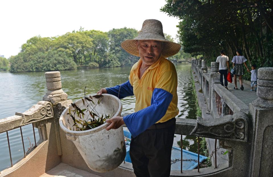 Xiong Quande carries newly-collected rubbish onto the banks of the Donghu Lake of Bayi Park in Nanchang, China. The 66-year-old has worked at the park as a sanitation worker for 12 years. People call him the "beautician" of Donghu Lake.