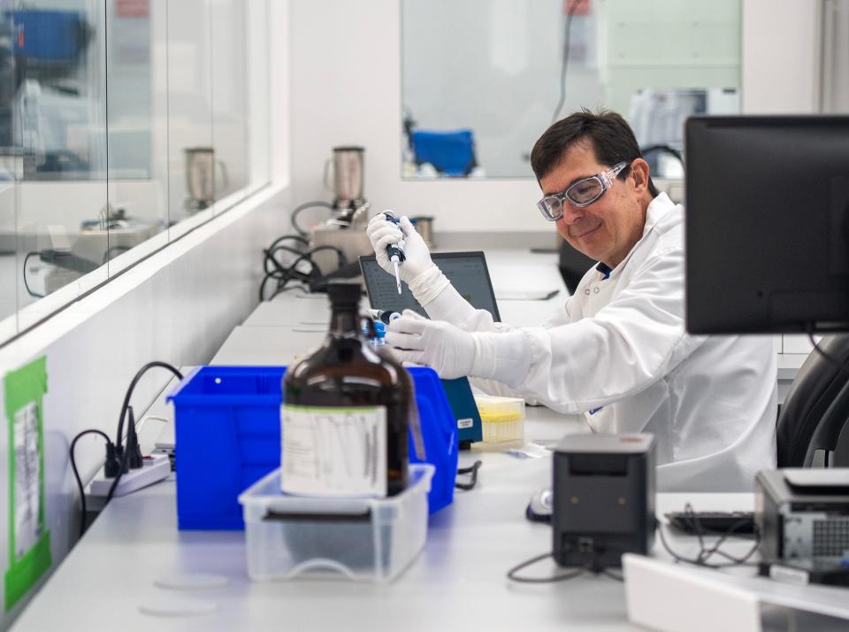 A scientist works in a quality control laboratory at Rentschler Biopharma in Milford