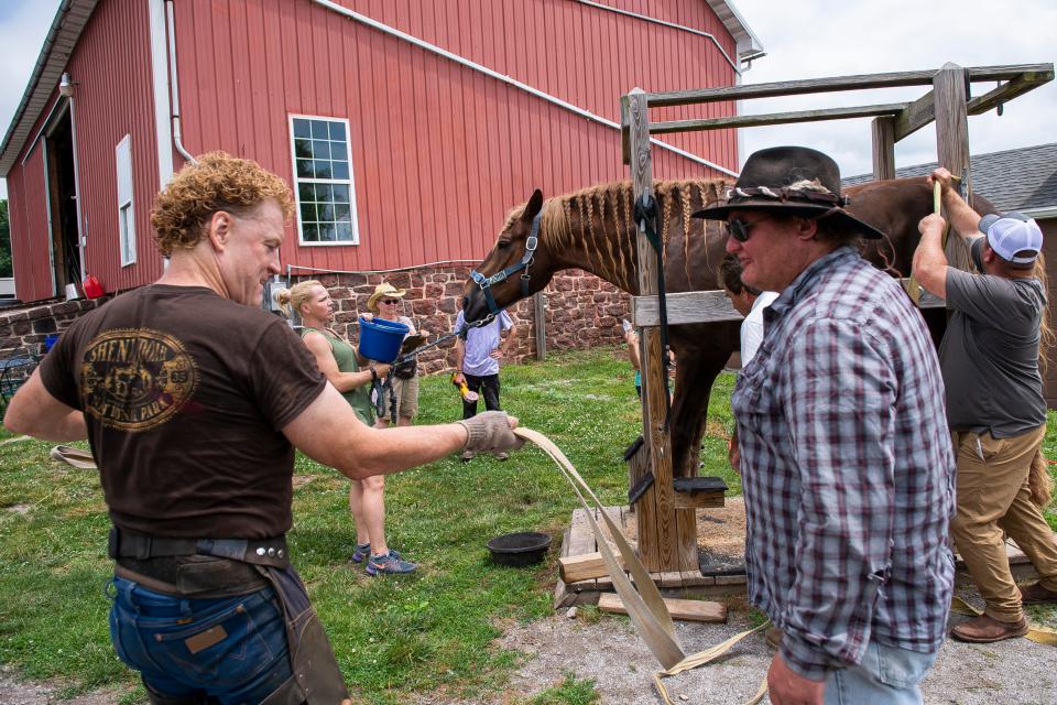 Farrier Drew Myers (left) and his band of helpers prepare before providing hoof care for Big John, a draft horse. Marty Petratos custom built the stockade to accommodate a horse as large as Big John. Big John lived out his final five years at the rescue before dying late last summer.