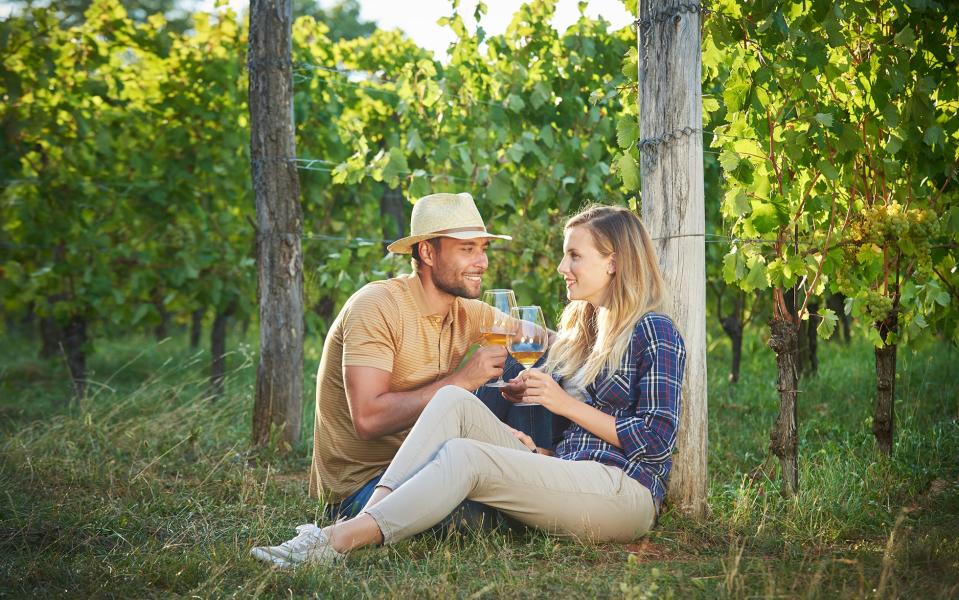 Couple sitting in a vineyard drinking wine