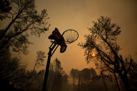 <p>A melted basketball hoop rests in a clearing after the Loma fire tore along a ridge top on Tuesday, Sept. 27, 2016, near Morgan Hill, Calif. More California residents were ordered from their homes Tuesday as a growing wildfire threatened remote communities in the Santa Cruz Mountains. (AP Photo/Noah Berger) </p>