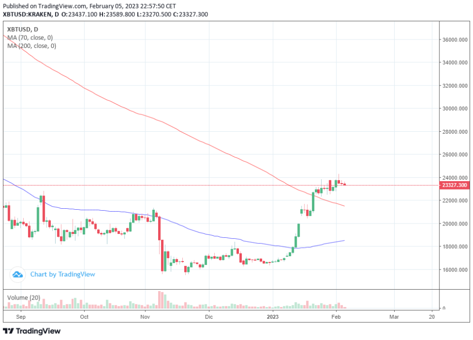 Las ballenas de Cardano impulsaron el 65% del rally