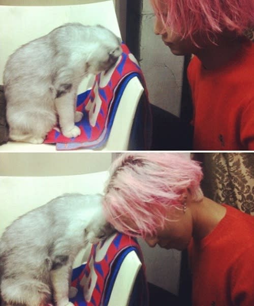 G-Dragon reveals his pink hair style