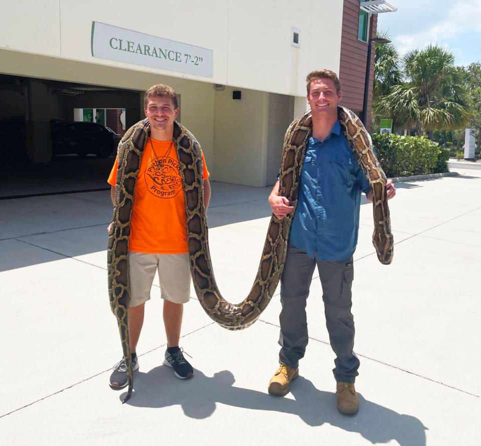 Stephen Gauta and Jake Waleri with the longest Burmese python caught in Florida. (Conservancy of South Florida.)