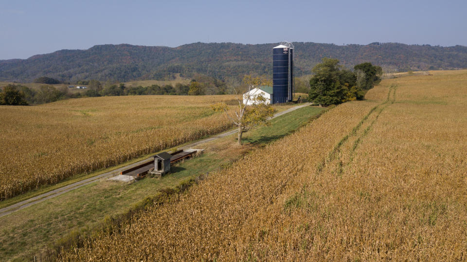 This Oct. 1, 2019 aerial photos shows farm buildings surrounded by a crop of corn on a farm owned by the family of West Virginia Gov. Jim Justice near Lewisburg, W.Va. Justice Farms of North Carolina, which is owned by the family of Justice, raked in tens of thousands of taxpayer dollars under a subsidy program President Donald Trump set up to help farmers hurt by his trade war with China. (AP Photo/Steve Helber)